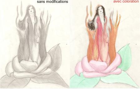 rosa....rosa....rosae